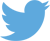 Twitter_logo_blue_klein